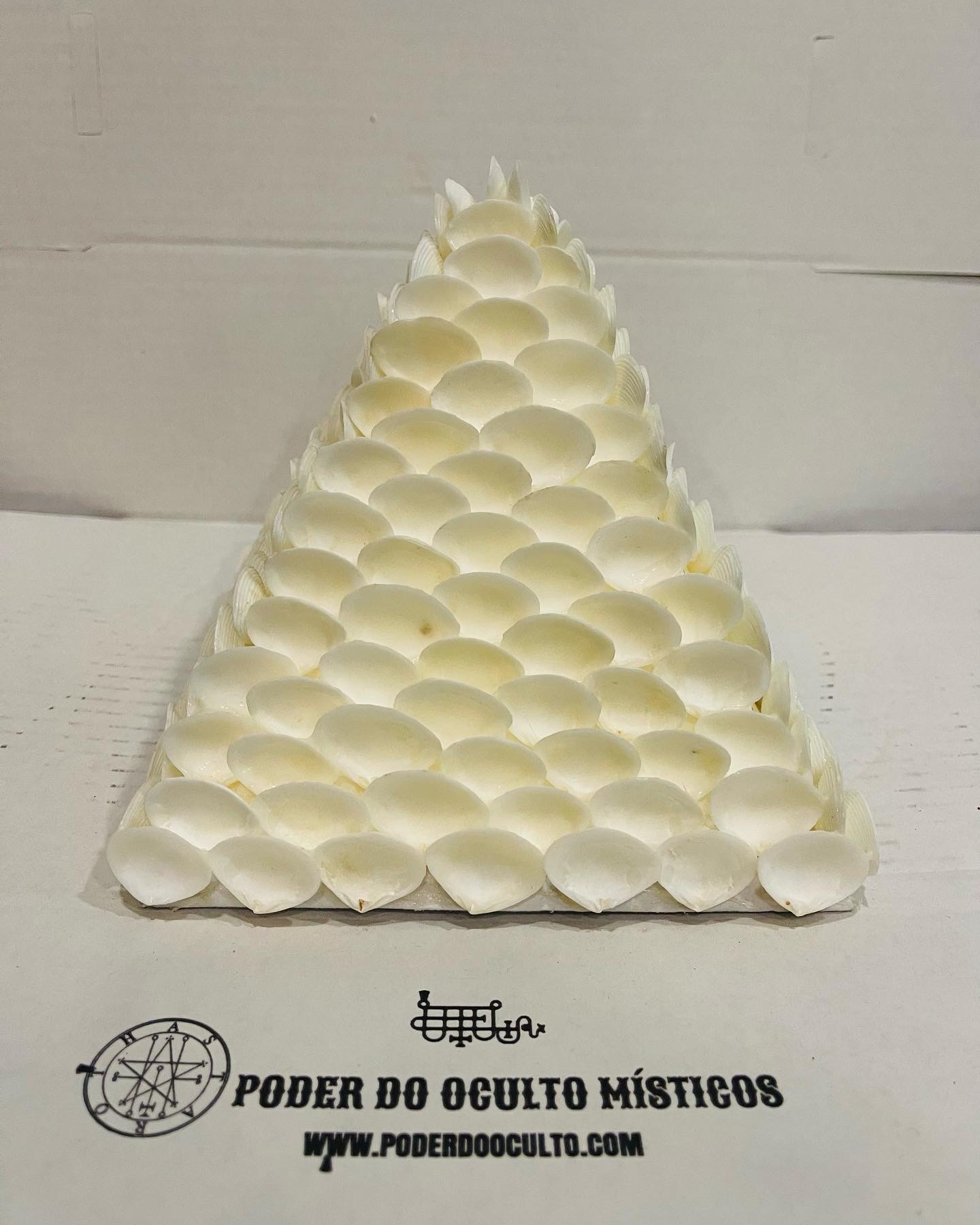 PIRAMIDE CONCHAS 