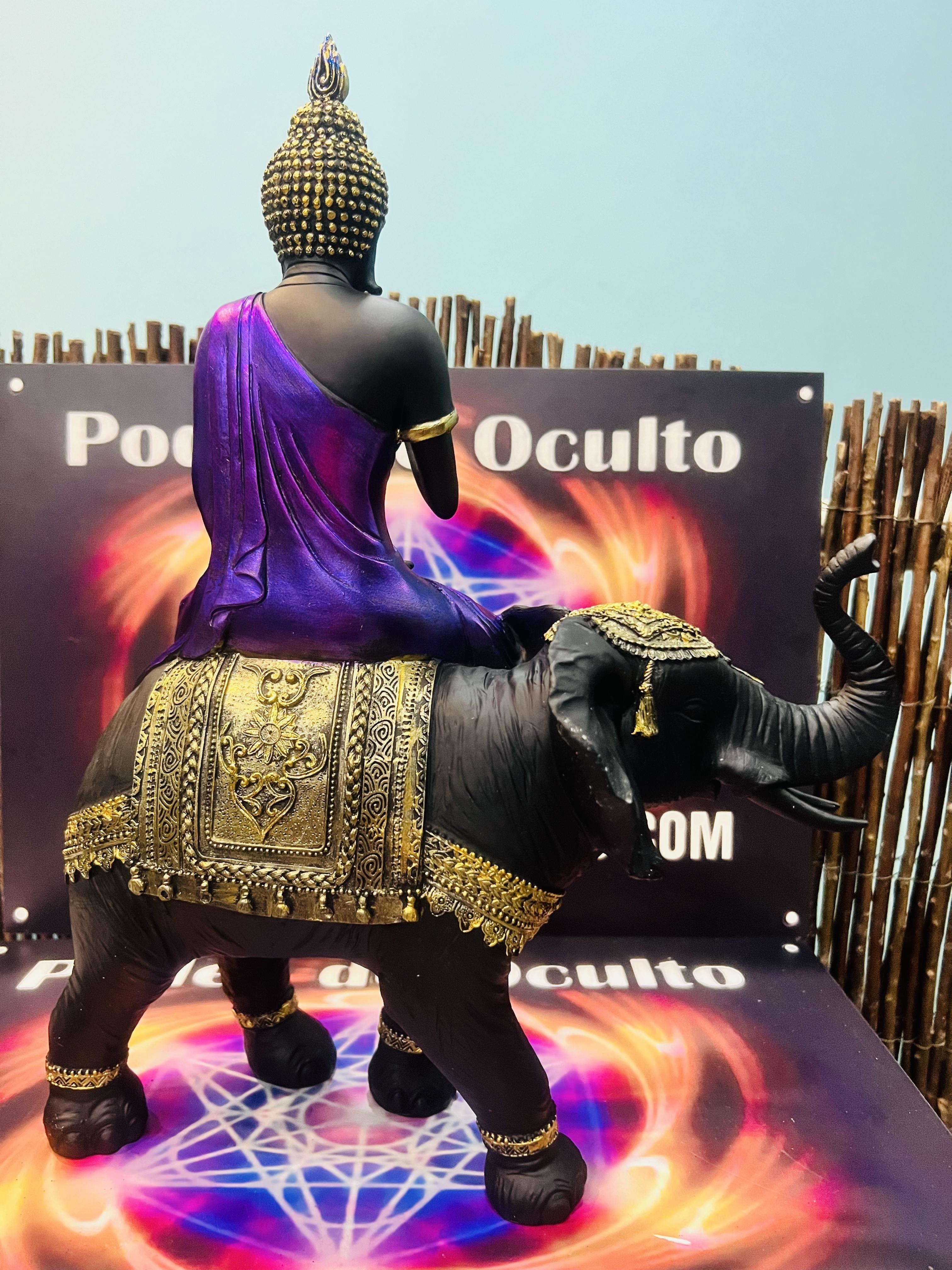 BUDA DA SORTE COM ELEFANTE 