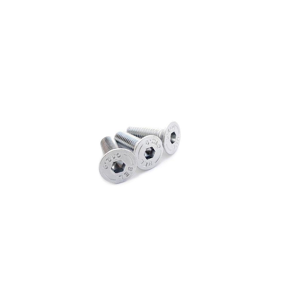 Protetor disco traseiro - BREMBO