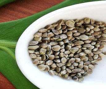 Cânhamo sementes - 50 g