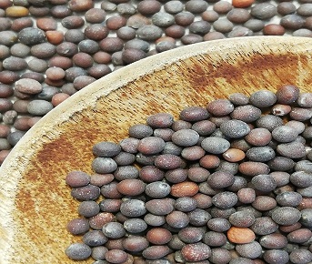 Mostarda preta semente - 100 g