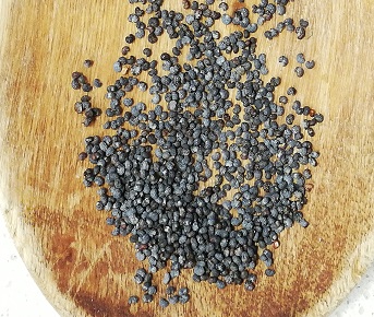 Papoila sementes - 100 g