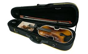 Violino 3/4 OV-100