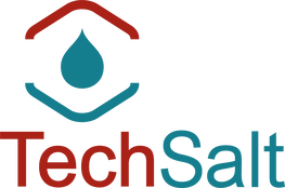 TechSalt