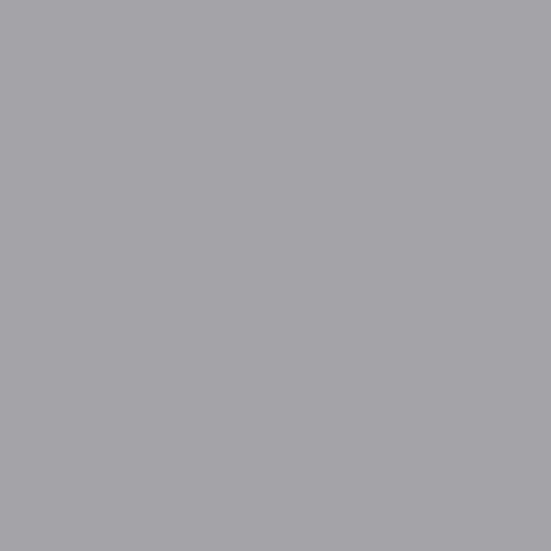 Fondo Papel Stone Gray 2.75X11M BD-170-A-1.
