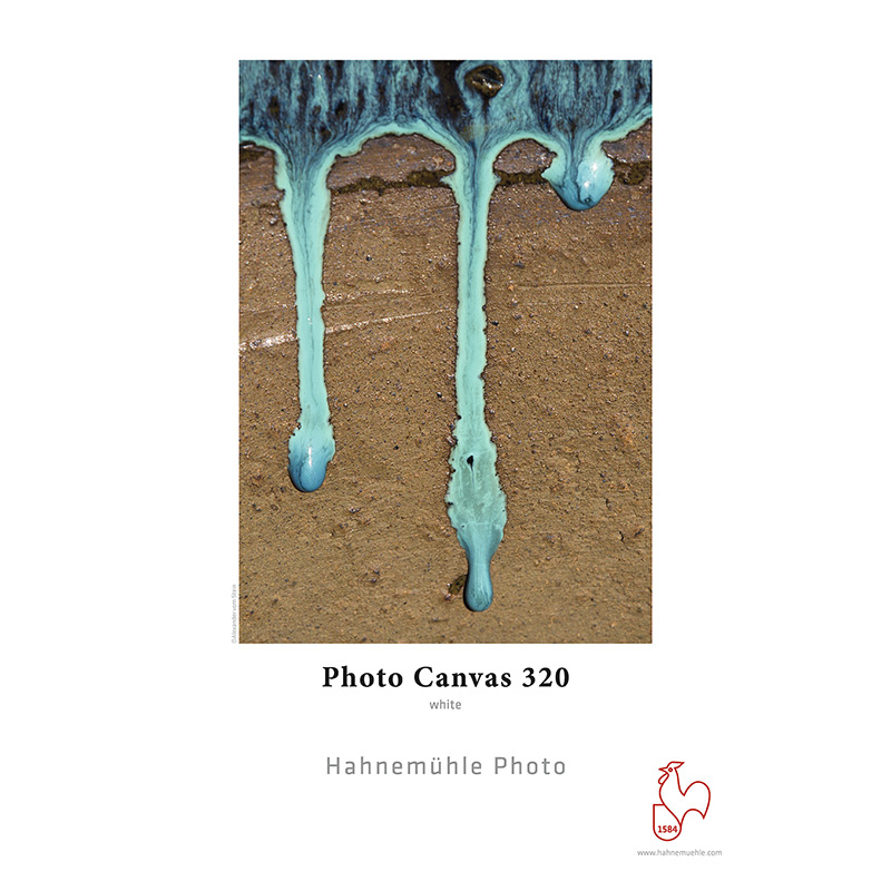 Photo Canvas 320g
