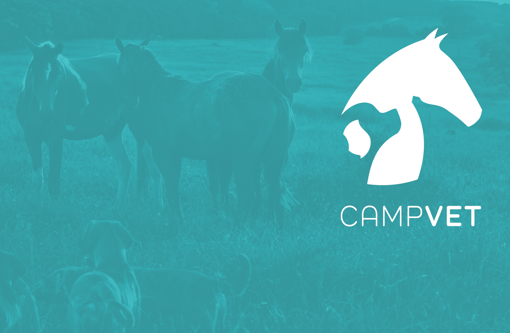 Campvet Veterin Rio E Loja Online Pet Shop Servi Os Veterin Rios Ao Domic Lio Cavalos C Es