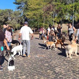 Organização de passeios e eventos ao ar livre