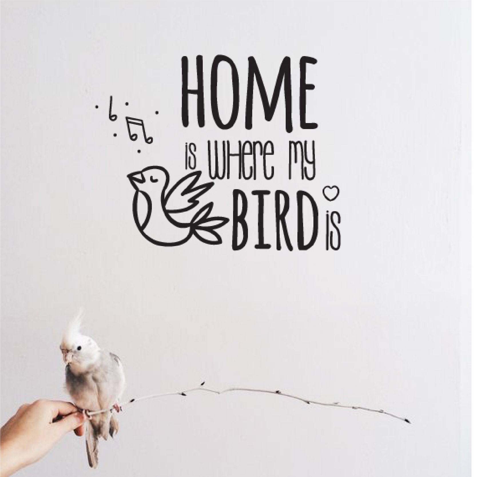 Home is where my bird is - branco
