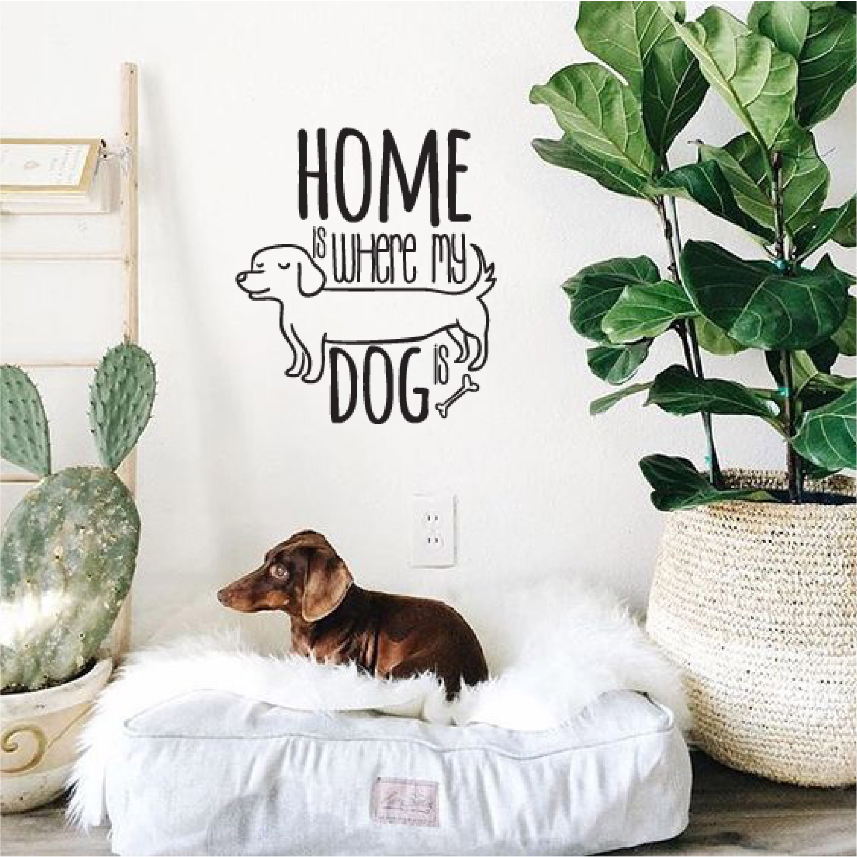 Home is where my dog is - branco