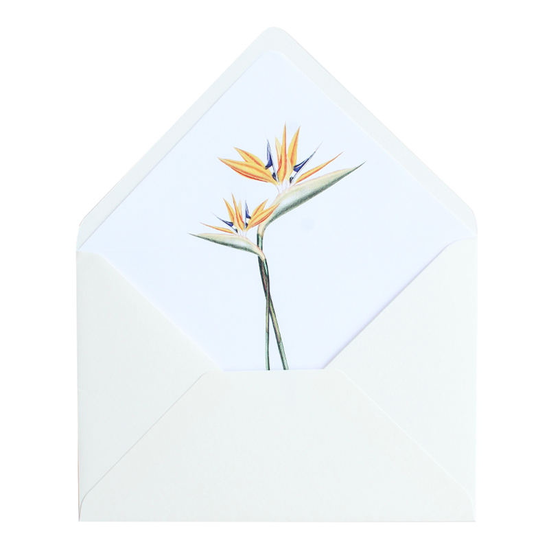 Envelope Pala em bico, Branco natural (duplicado) - 1
