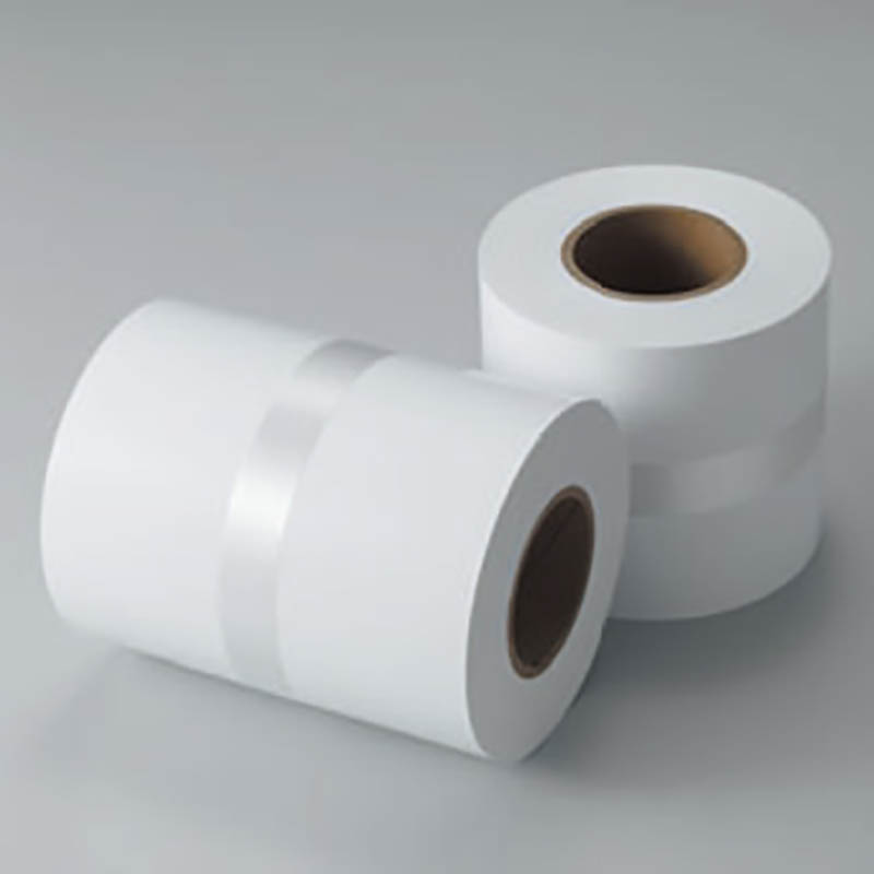 Fujifilm Inkjet DX100 / DE100 Mate - 230g