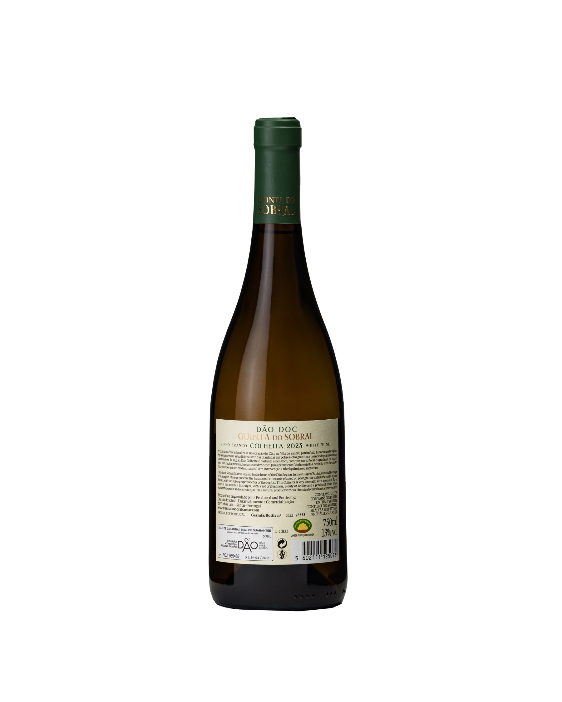 COLHEITA BRANCO 2023