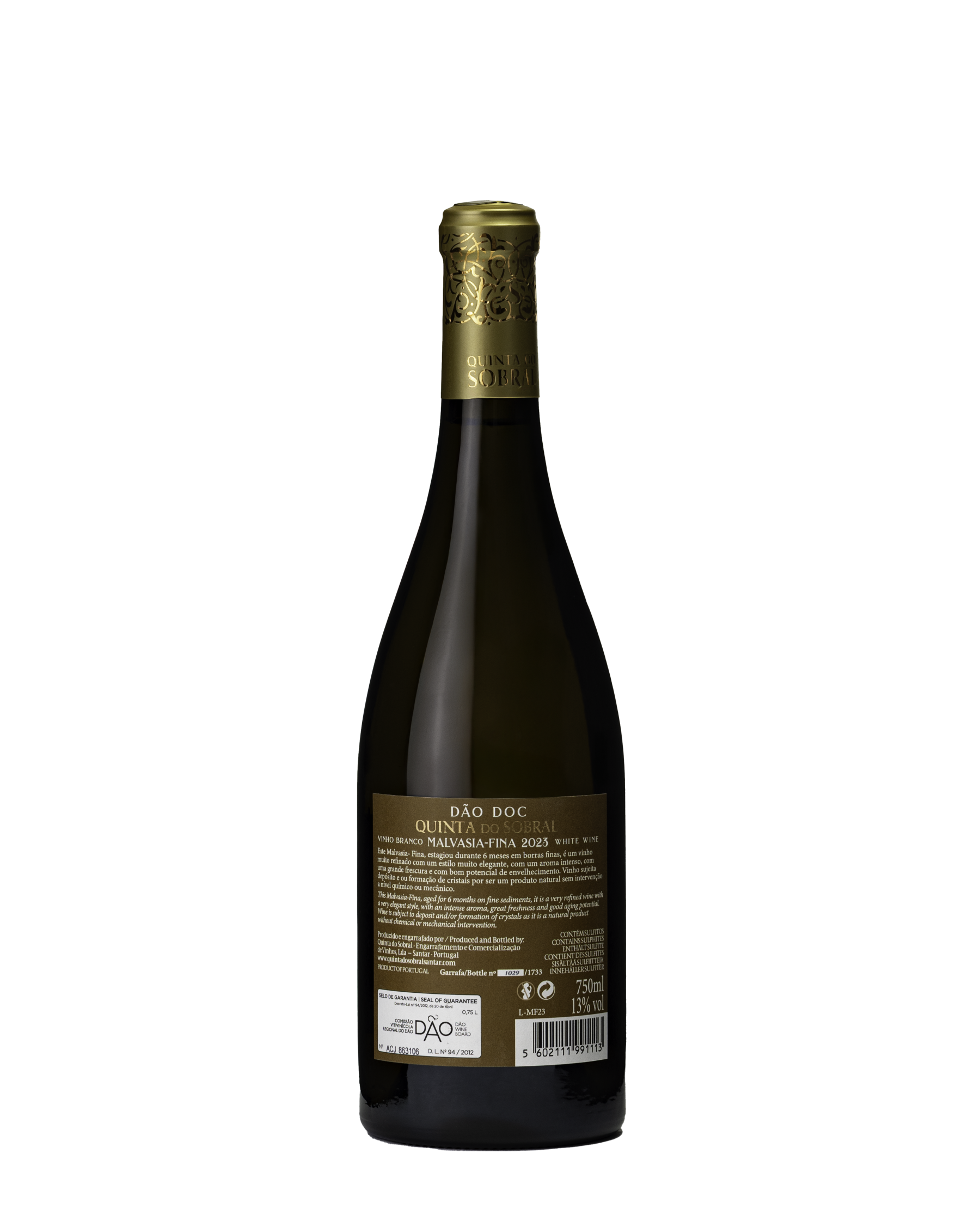  MALVASIA FINA 2023