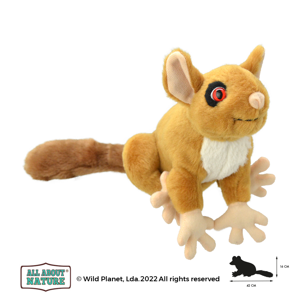 Peluche Bush Baby All About Nature