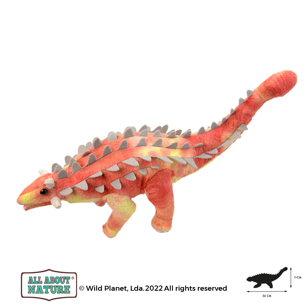 Peluche Ankylosaurus All About Nature