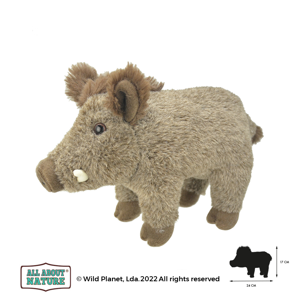 Peluche Javali All About Nature