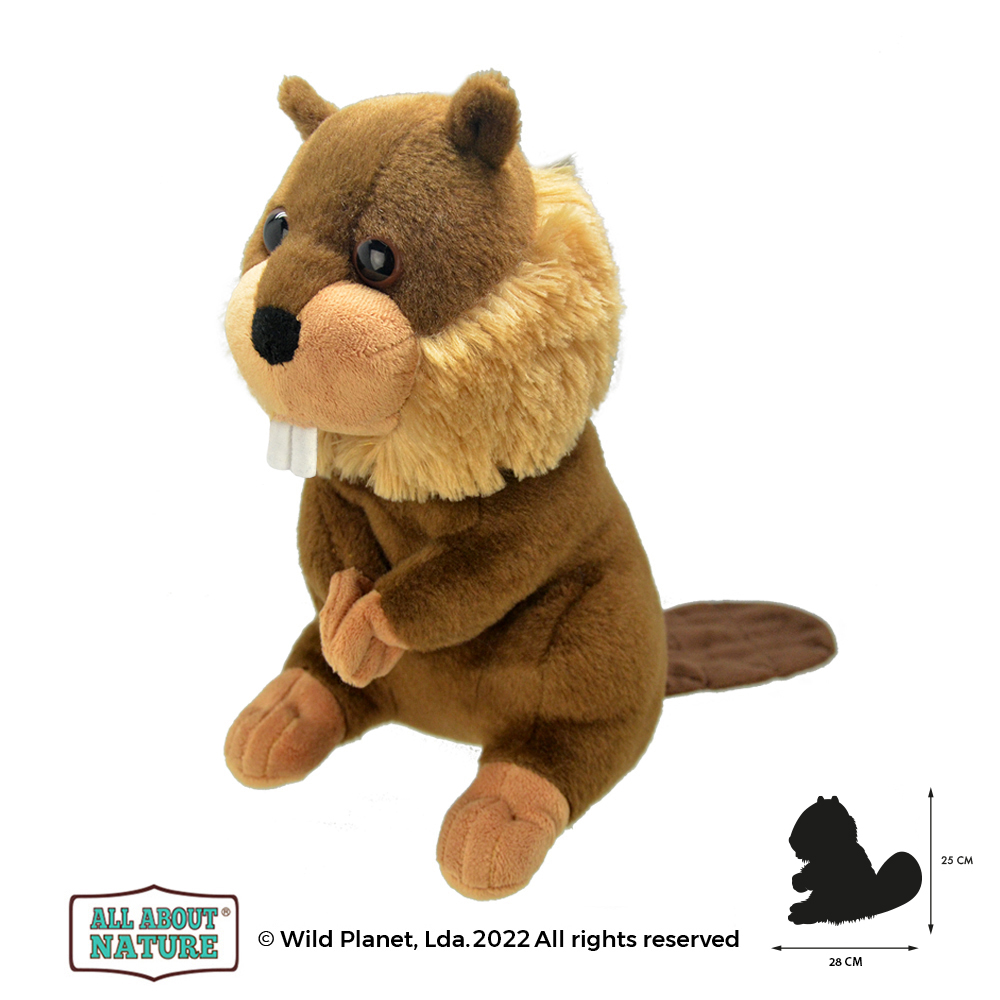 Peluche Castor All About Nature
