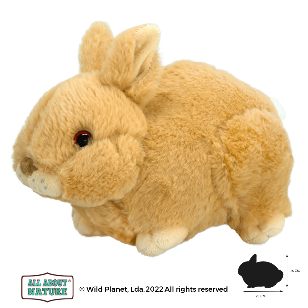 Peluche Coelho Bebé All About Nature